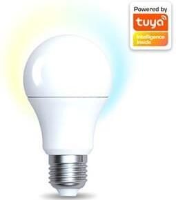 Enzo Denver LED GLS mat wit E27 9W dimbaar SMART Wi-Fi TUYA LED5010