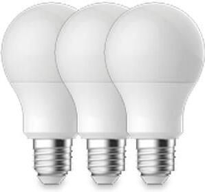 Enzo Energetic LED GLS E27 13 3-100W 2700K mat doos a3 2740044