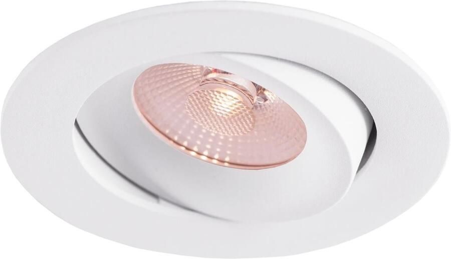 Enzo Thorgeon LED inbouwspot 8 2W DimToWarm 96mm rond verstelbaar wit LED4680