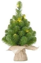 Enzo Kerstboom Norton 10 LEDs 45cm 5510137