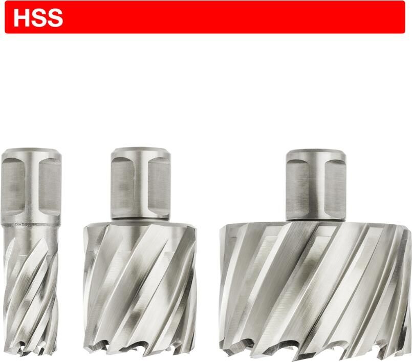 Euroboor HSS kernboor Ø 100 mm x 55 mm HCL.1000