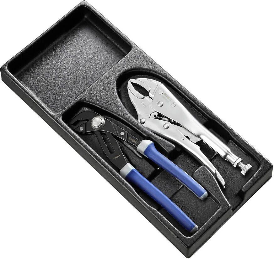 Expert by Facom Lege Inlay voor Module E080801 E010504