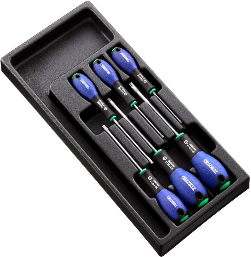 Expert by Facom Lege Inlay voor Module | E194941 E160917