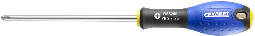 Expert by Facom Schroevendraaier | PH1 x 100 E165207