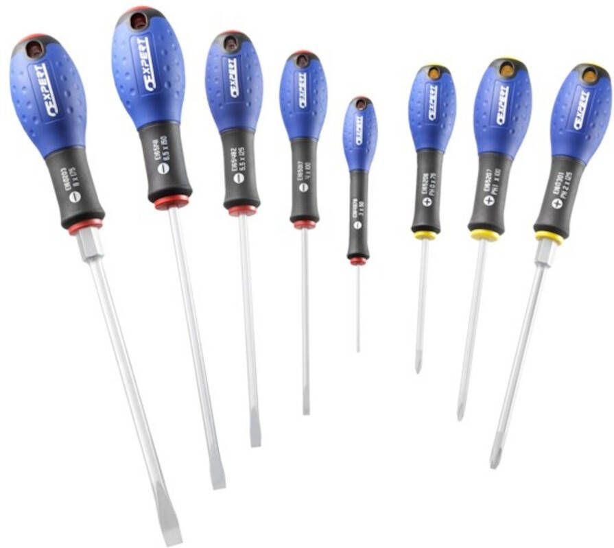 Expert by Facom Set van 8 Schroevendraaiers Sleuf PH E160904