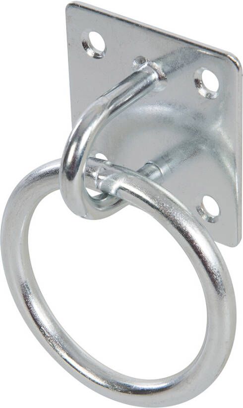 Fixman Kettingplaat gegalvaniseerd | Ring 50 mm x 50 mm 302410