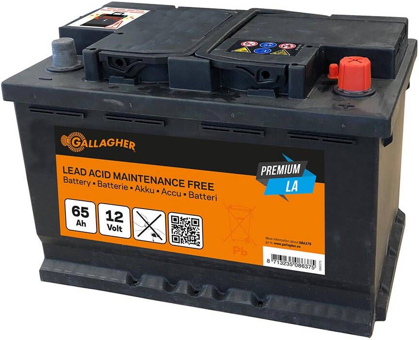 Gallagher Accu 12V 65Ah Premium LA 242x175x190 086375