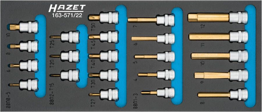 Hazet Dopsleutelbitset 163-571 22 3 8 inch (10 mm) vierkant hol Binnen-TORX -profiel Binnenveeltandprofiel XZN Binnen-zeskant-profiel 22-delig