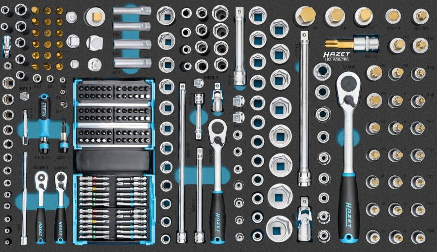 Hazet Dopsleutelset 163-606 259-delig 3 32 E4 E24 M5 M18 PH1 PH2 PZ1 PZ2 T15 T60