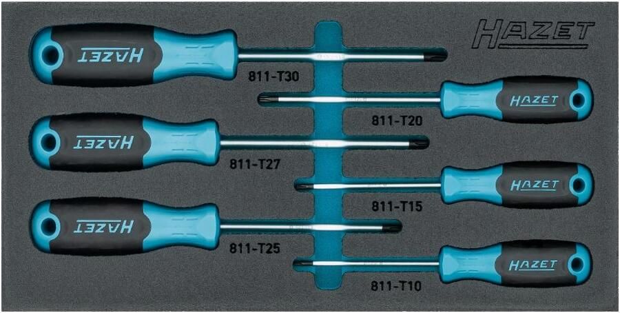 Hazet Gereedschapset 6-delig in inleg 163-266 6N