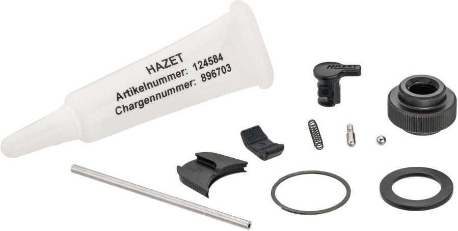 Hazet Reserveonderdelenset bit-ratelwiel 863HPB 11