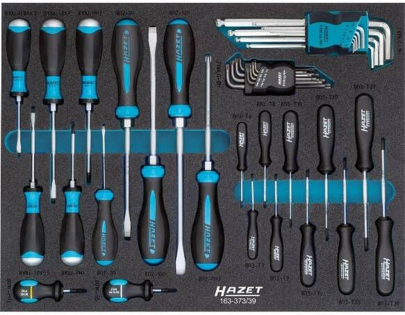 Hazet Schroevendraaierset 163-373 39 Sleufprofiel Kruiskop profiel PH Binnen-TORX -profiel Binnen-zeskant-profiel 39-delig 0 6 x 3 5 2 x 12