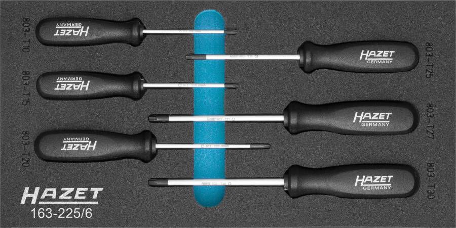 Hazet Schroevendraaierset TORX 163-225 6 Binnen-TORX -profiel 6-delig T10 T30