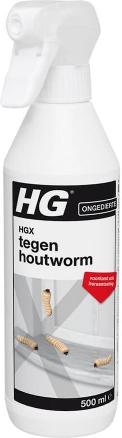 HG X Spray Tegen Houtworm 10003574
