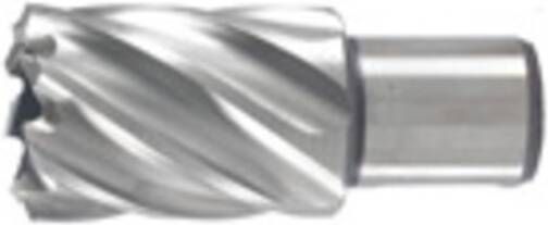 Hikoki Accessoires Kernboor 100X30 Mm 754491