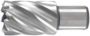 Hikoki Accessoires Kernboor 100X30 Mm 754491 - Thumbnail 1