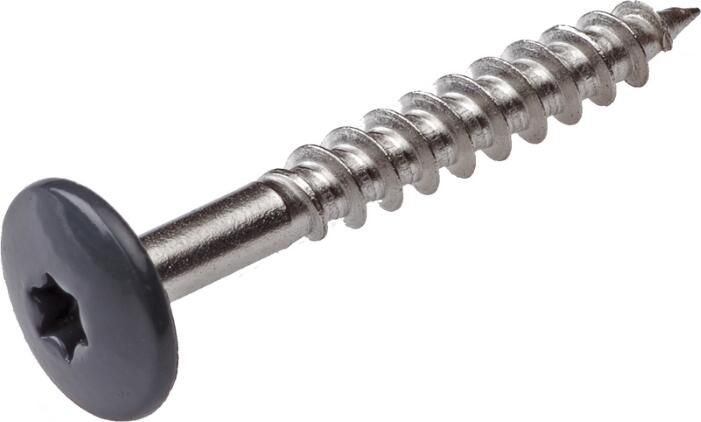 Hoenderdaal Fasteners Hoenderdaal Hpl Schroef Rvs-A2 Torx TX20 Antracietgrijs Ral7016 4.8X38 | 100 stuks 0346.30.37528