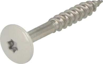 Hoenderdaal Fasteners Hoenderdaal Hpl Schroef Rvs-A2 Torx TX20 Lichtgrijs Ral7035 4.8X38 | 100 stuks 0346.30.37538