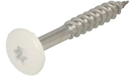 Hoenderdaal Fasteners Hoenderdaal Hpl Schroef Rvs-A2 Torx TX20 Signaalwit Ral9003 4.8X38 | 100 stuks 0346.30.37537
