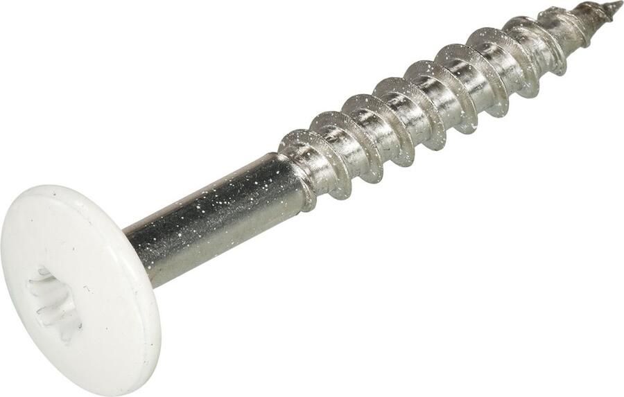 Hoenderdaal Fasteners Hoenderdaal Hpl Schroef Rvs-A2 Torx TX20 Zuiver Wit Ral9010 4.8X32 | 100 stuks 0346.30.37324