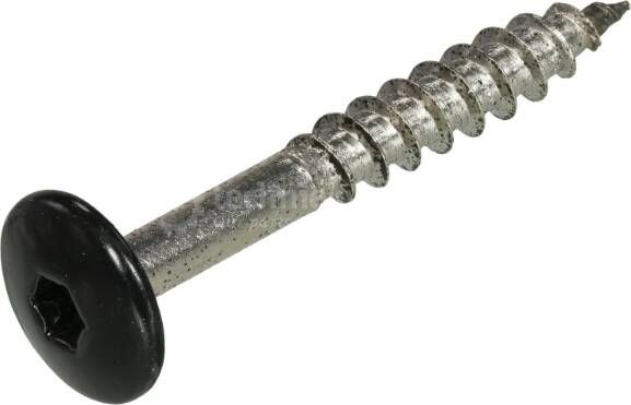 Hoenderdaal Fasteners Hoenderdaal Hpl Schroef Rvs-A2 Torx TX20 Gitzwart Ral9005 4.8X32 | 100 stuks 0346.30.37323 - Foto 2