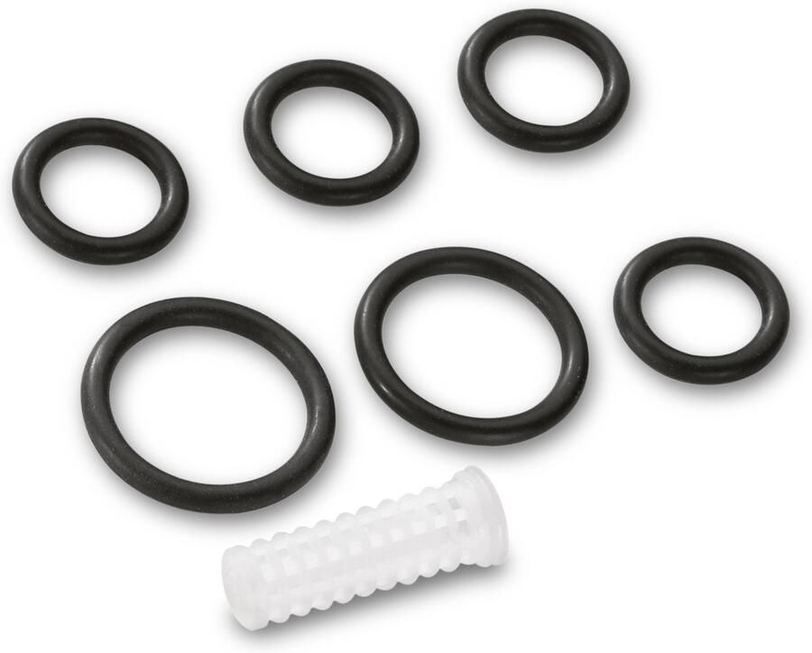 Karcher O-Ring Set 2.645-074.0