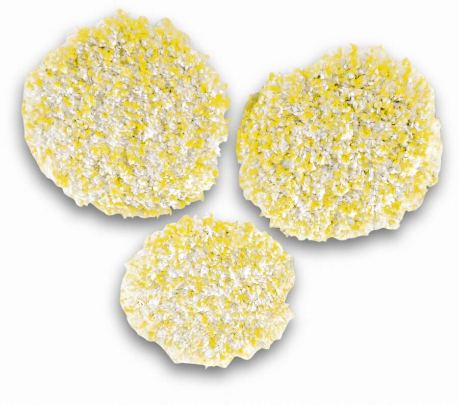 Karcher Polijstpads FP 303 Steen?Linoleum PVC (3 stuks) 2.863-198.0