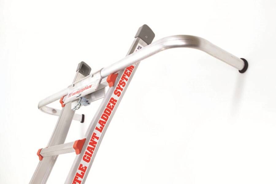 Little Jumbo Little Giant | Wandafhouder 48419111