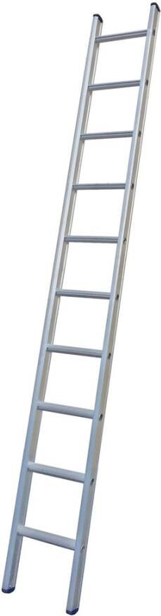 Little Jumbo SuperPRO Enkel Rechte Ladder SuperPRO Geanodiseerd | 6 Sporten 1250000106