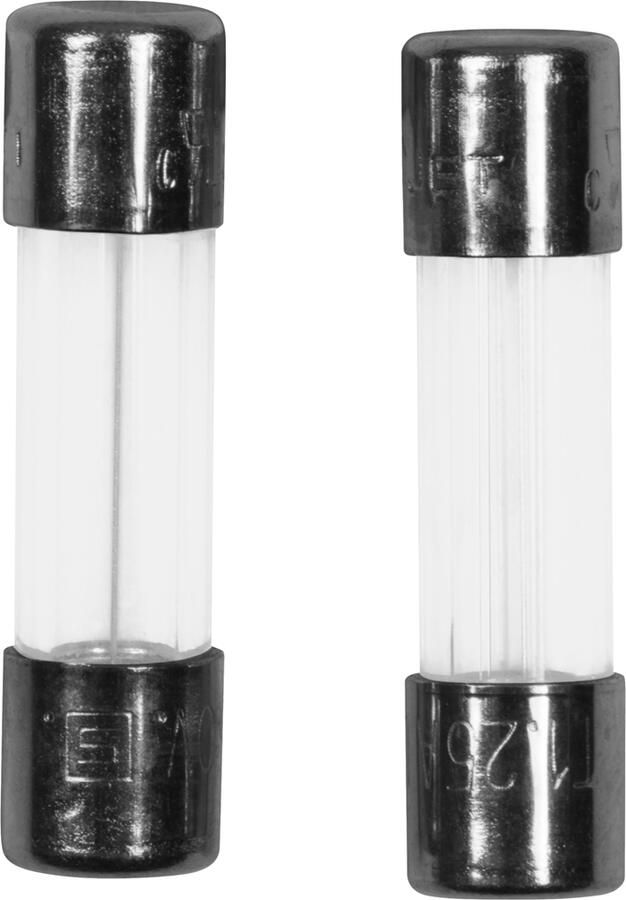 Meister Glaszekering 1 25A T 2 St W WU7446110