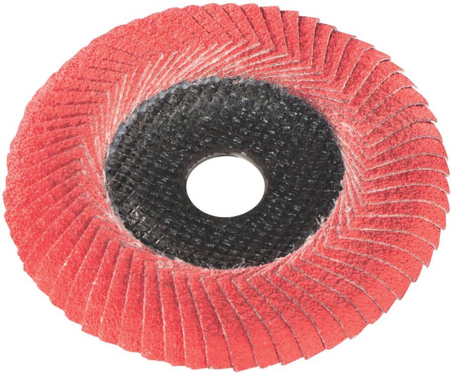 Metabo Accessoires Lamellen schuurschijf Ø 125 mm - P80 CER 10 stuks 626461000