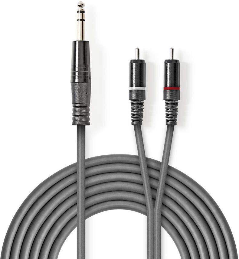 Nedis Stereo-Audiokabel | 6 35 mm Male | 2x RCA Male | 1.5 m | 1 stuks COTH23300GY15