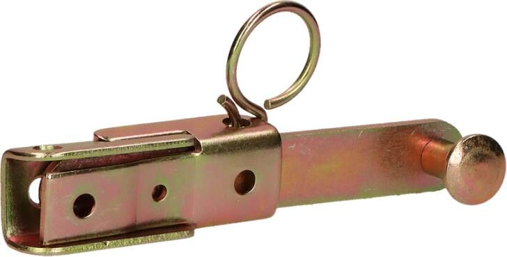 Pgb-Europe FG | Luikoverslag 60x130 ZnGeel FG03480020601305