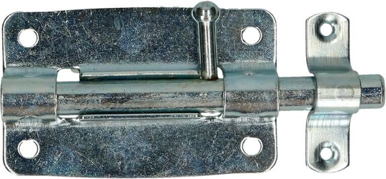 Pgb-Europe FG | Plaatgrendel 100x100 Zn | 12 st FG03530010001005