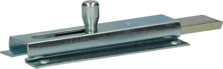 Pgb-Europe FG | Profielschuif vlak 35x1x100 Zn FG0331001351005
