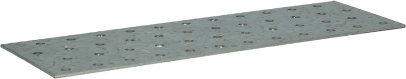 Pgb-Europe FG | Verbindingsplaat 100x240 Zn (2mm) | 25 st FG01600011002405