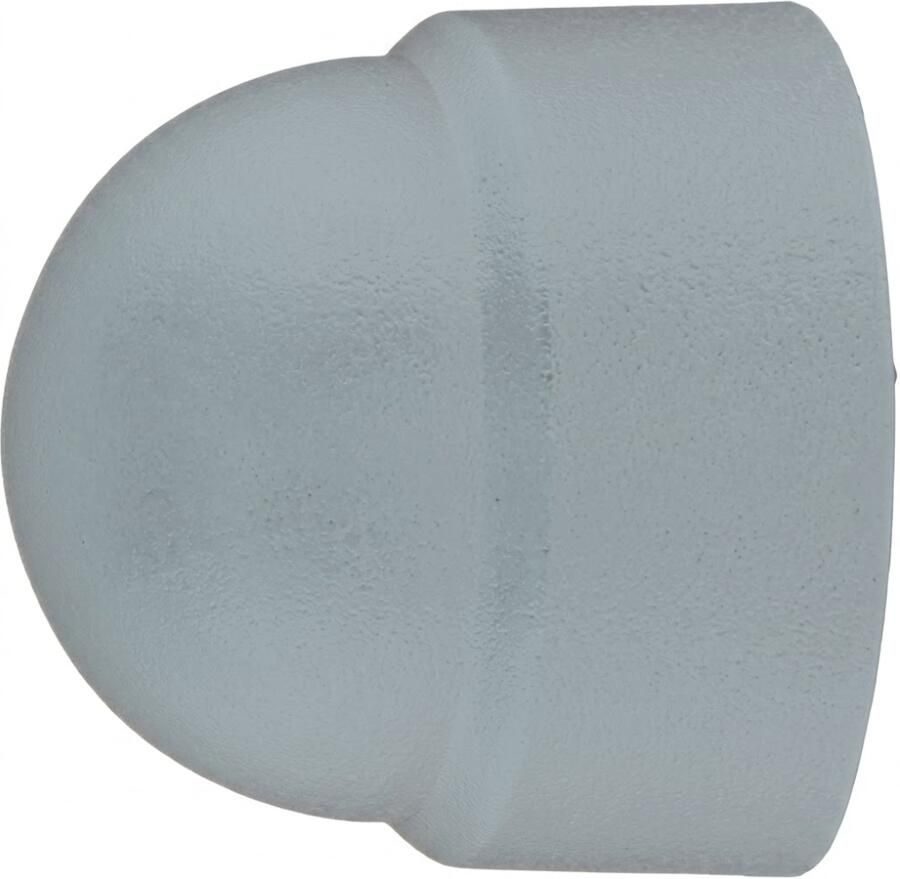 Pgb-Europe PGB-FASTENERS | Afdekkap v. zeskant moer M16 SW24 R9010 AFD004N00016090105