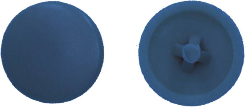 Pgb-Europe PGB-FASTENERS | Afdekkap PZ 2 (12mm) R5009 0AFD02N00002050095