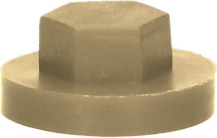 Pgb-Europe PGB-FASTENERS | Afdekkap zeskant SW 3 8" (16mm) R1019 0AFD06N00001610195