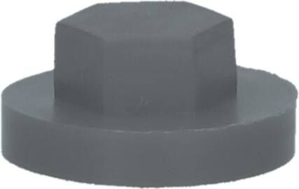 Pgb-Europe PGB-FASTENERS | Afdekkap zeskant SW 3 8" (16mm) R7005 0AFD06N00001670055