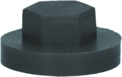 Pgb-Europe PGB-FASTENERS | Afdekkap zeskant SW 3 8" (16mm) R7016 0AFD06N00001670165
