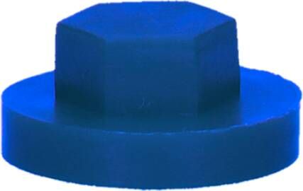 Pgb-Europe PGB-FASTENERS | Afdekkap zeskant SW 3 8" (19mm) R5005 0AFD06N00001950054