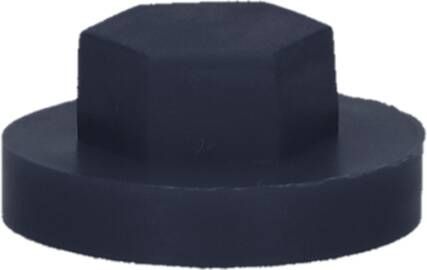 Pgb-Europe PGB-FASTENERS | Afdekkap zeskant SW 3 8" (19mm) R5011 0AFD06N00001950115