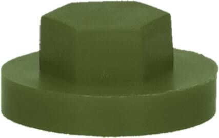 Pgb-Europe PGB-FASTENERS | Afdekkap zeskant SW 3 8" (19mm) R6003 0AFD06N00001960034