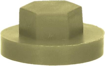 Pgb-Europe PGB-FASTENERS | Afdekkap zeskant SW 3 8" (19mm) R7002 0AFD06N00001970025