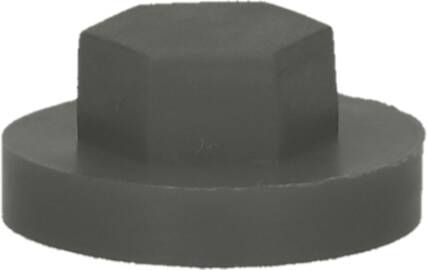 Pgb-Europe PGB-FASTENERS | Afdekkap zeskant SW 3 8" (19mm) R7015 0AFD06N00001970155
