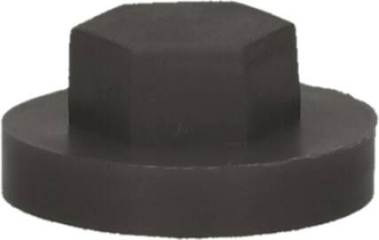 Pgb-Europe PGB-FASTENERS | Afdekkap zeskant SW 3 8" (19mm) R7024 0AFD06N00001970245