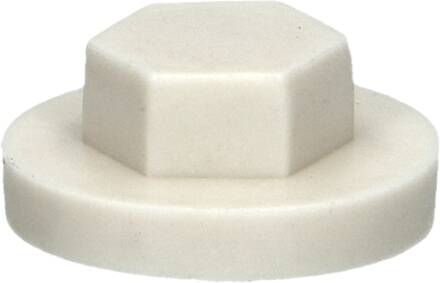 Pgb-Europe PGB-FASTENERS | Afdekkap zeskant SW 3 8" (19mm) R9002 0AFD06N00001990024