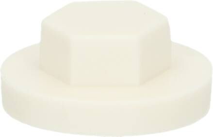 Pgb-Europe PGB-FASTENERS | Afdekkap zeskant SW 3 8" (19mm) R9010 0AFD06N00001990105