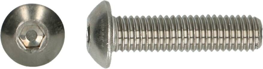 pgb-Europe PGB-FASTENERS | BZK bolkopschroef oef A2 ISO 7380-1 M10x20 | 100 st 073801A70010000203